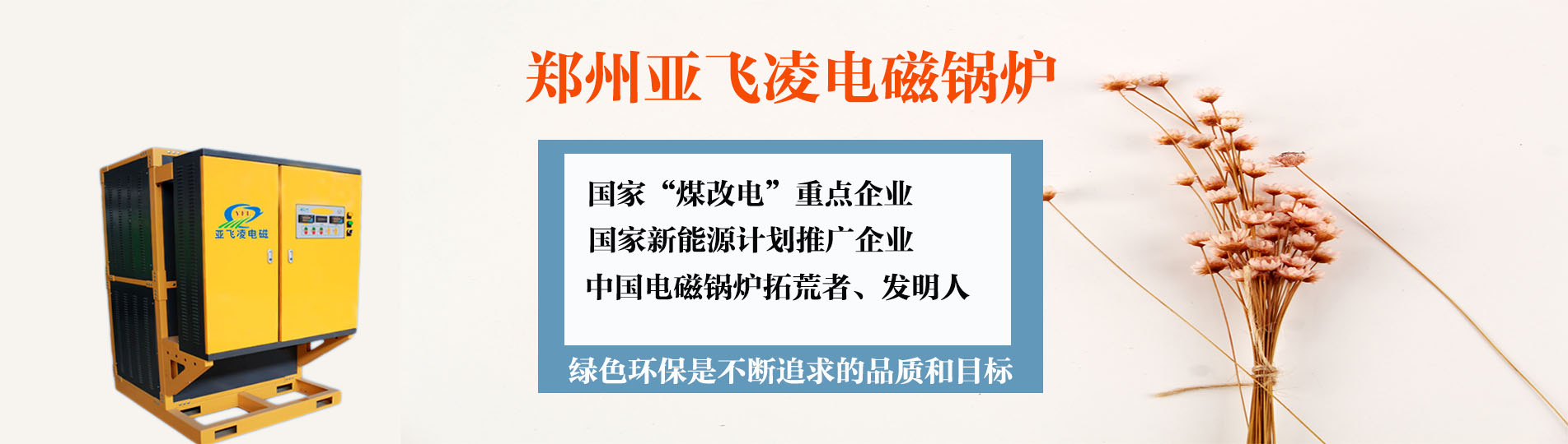 电蒸汽锅炉